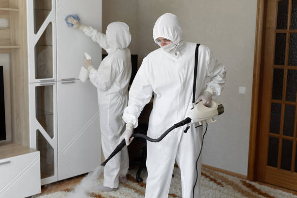 Professional Mold Remediation in Canon, GA