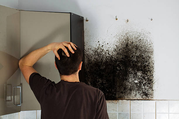 Best Bathroom Mold Remediation in Canon, GA
